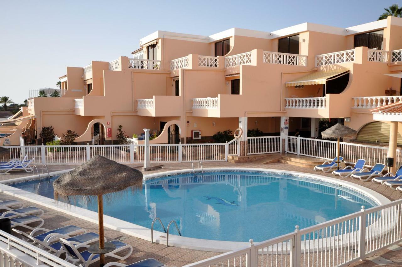 Paradise Court Las Americas Wifi Piscina 26 أذيخي المظهر الخارجي الصورة